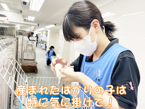 ２年生、子犬のお世話☆